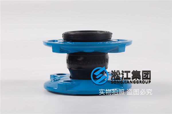 口径DN40橡胶减震器